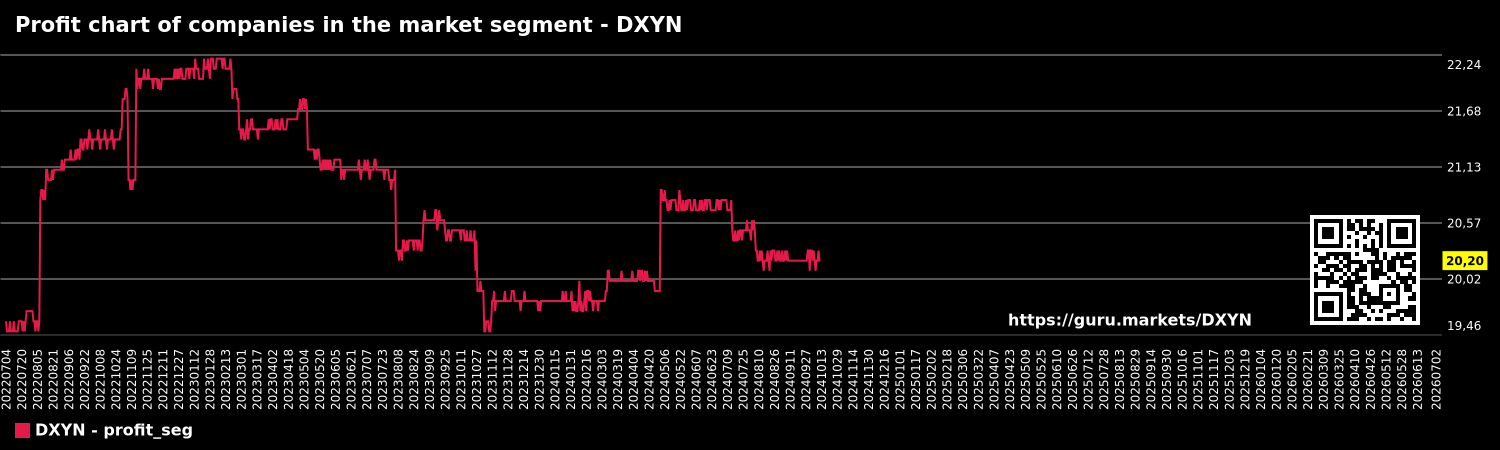 Profit chart of companies in the market segment - DXYN